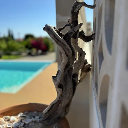 Home21 Ασγούρου